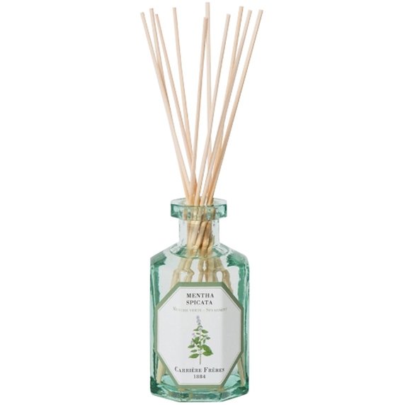 Carriere Freres - Spearmint (Mentha Spicata) Diffuser