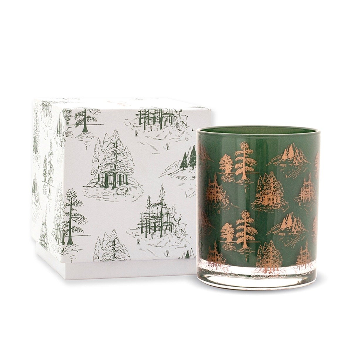 Paddywax - Cypress & Fir Boxed Green Candle