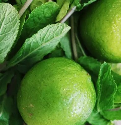 Dr. Vranjes - Ginger & Lime Room Spray