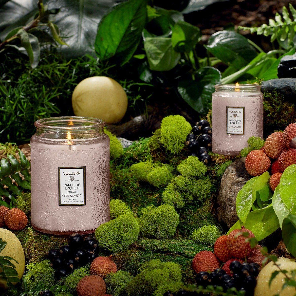 Voluspa - Panjore Lychee Large Jar Candle