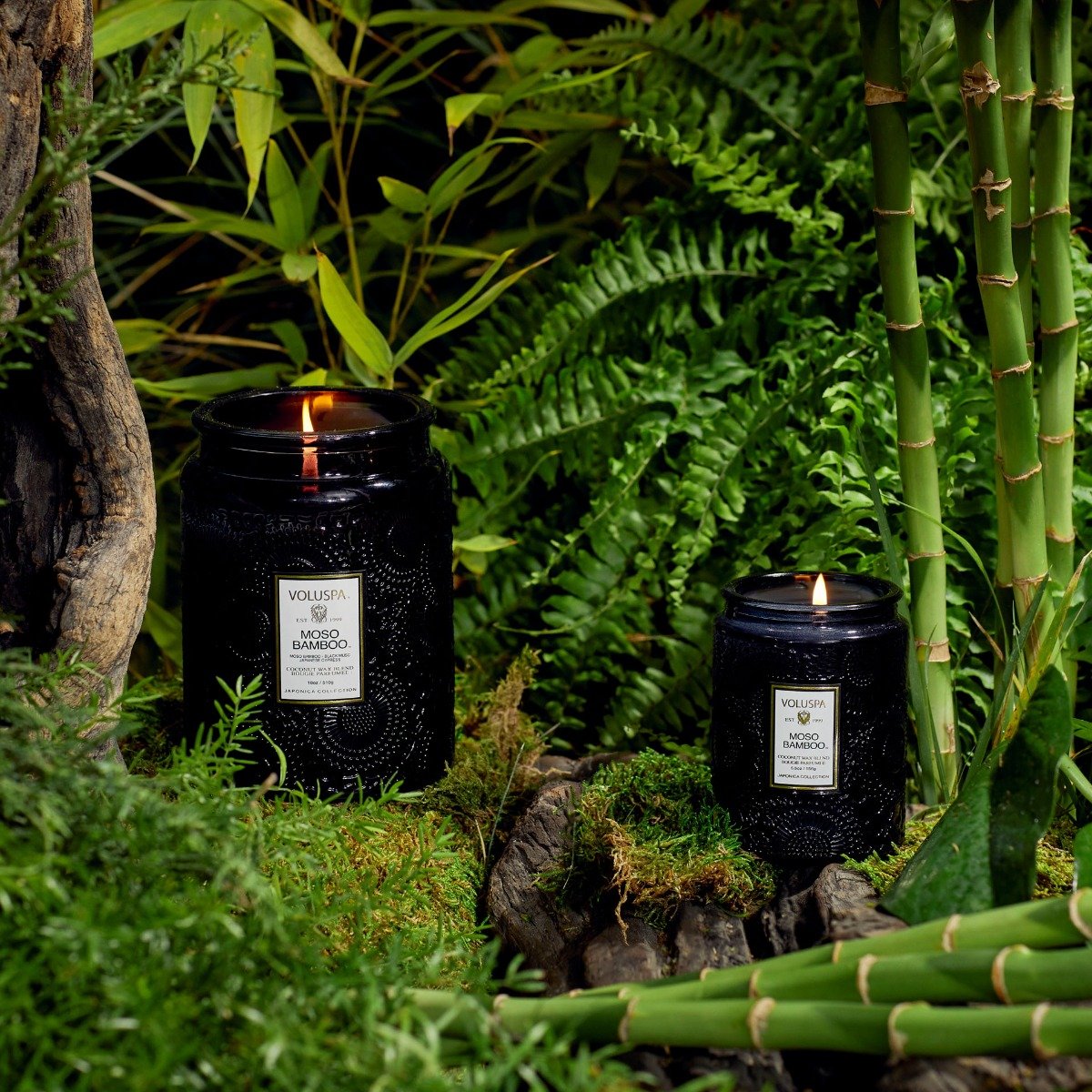 Voluspa - Moso Bamboo Small Jar Candle