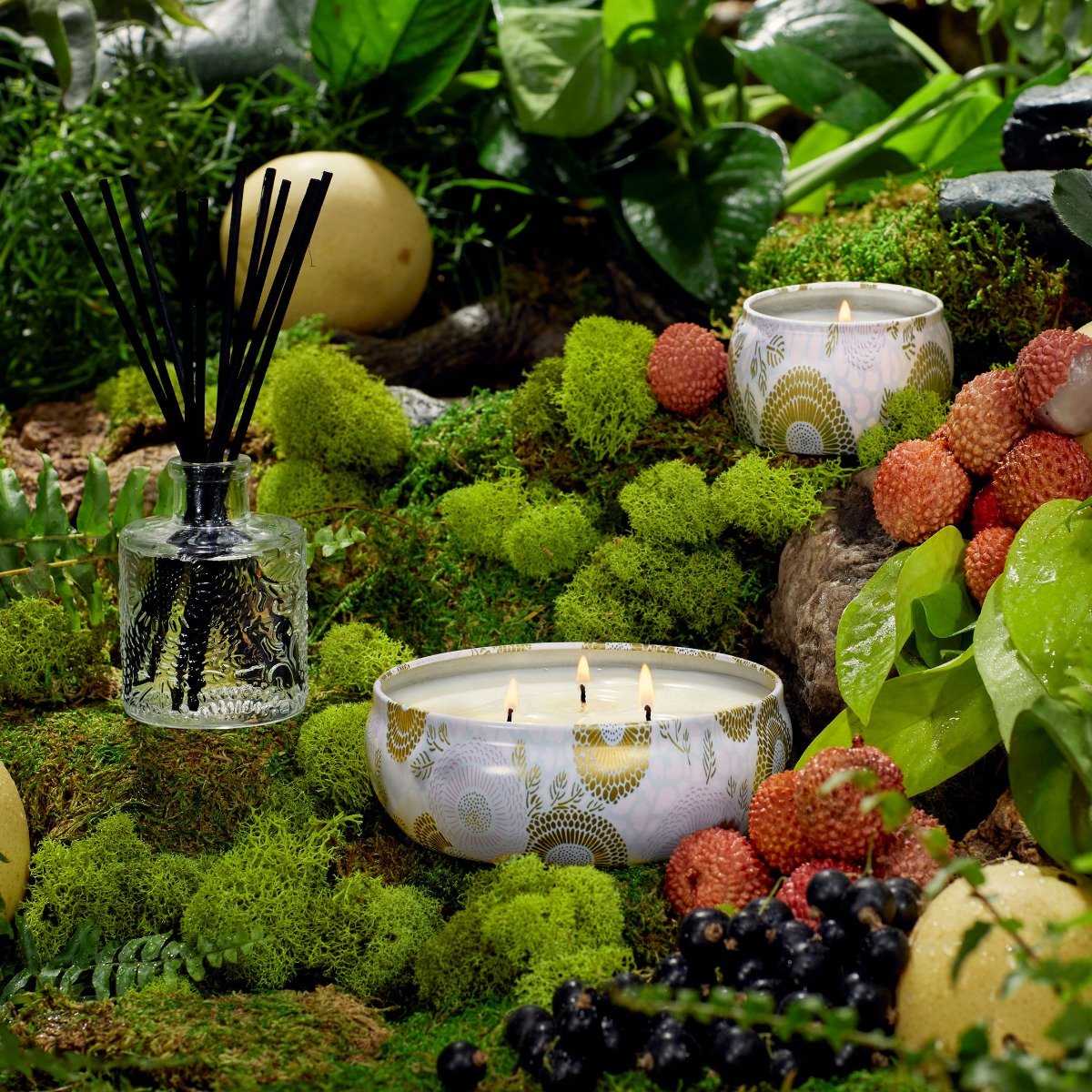 Voluspa - Panjore Lychee Mini Tin Candle