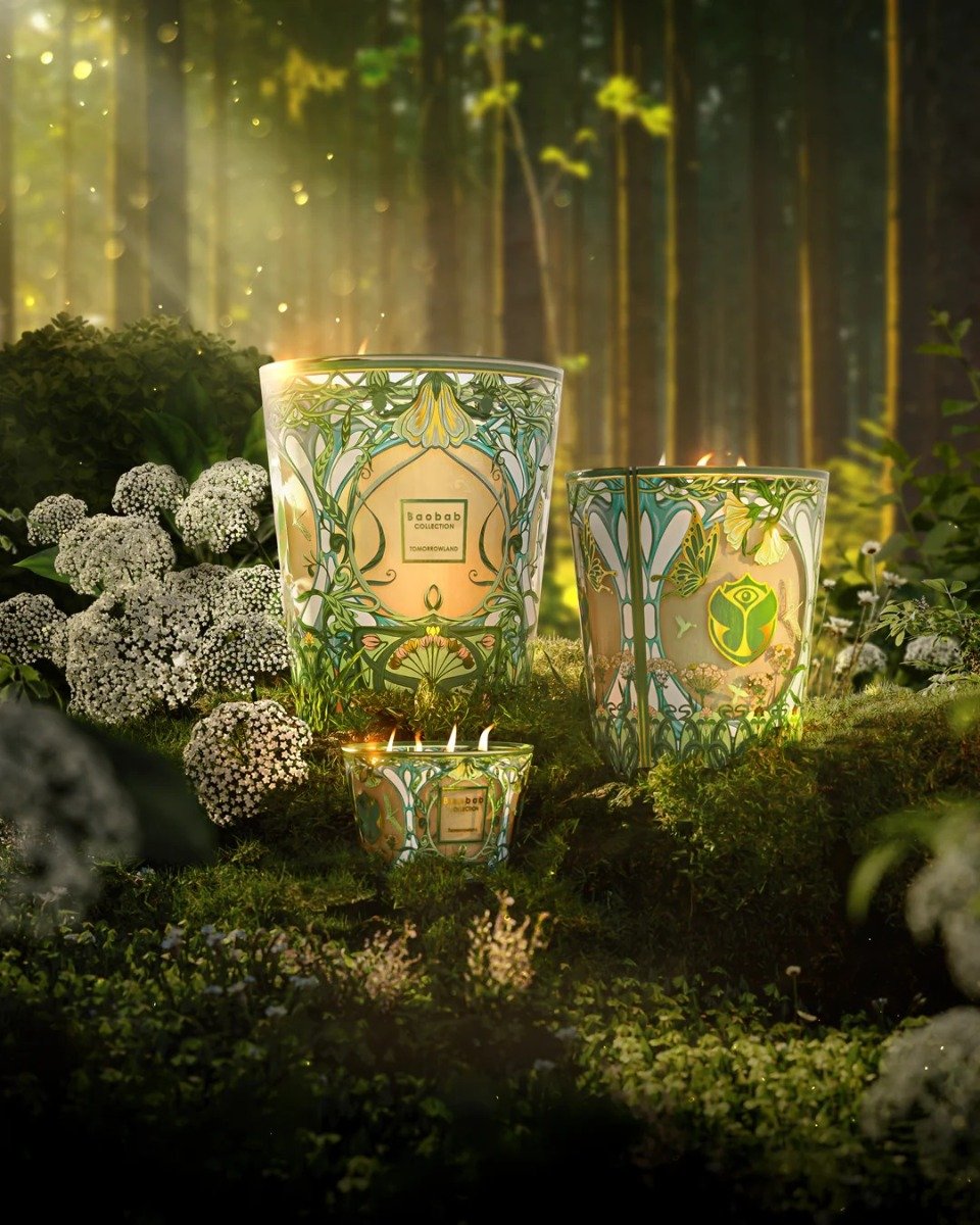 Baobab Collection - Tomorrowland Max10 Candle
