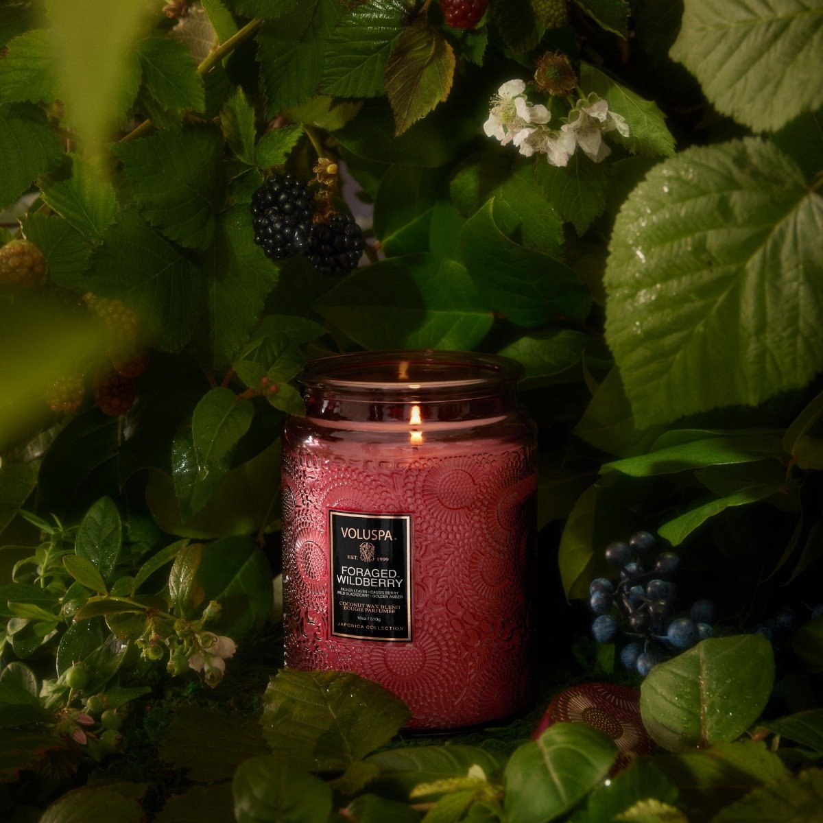 Voluspa - Foraged Wildberry Large Jar Candle
