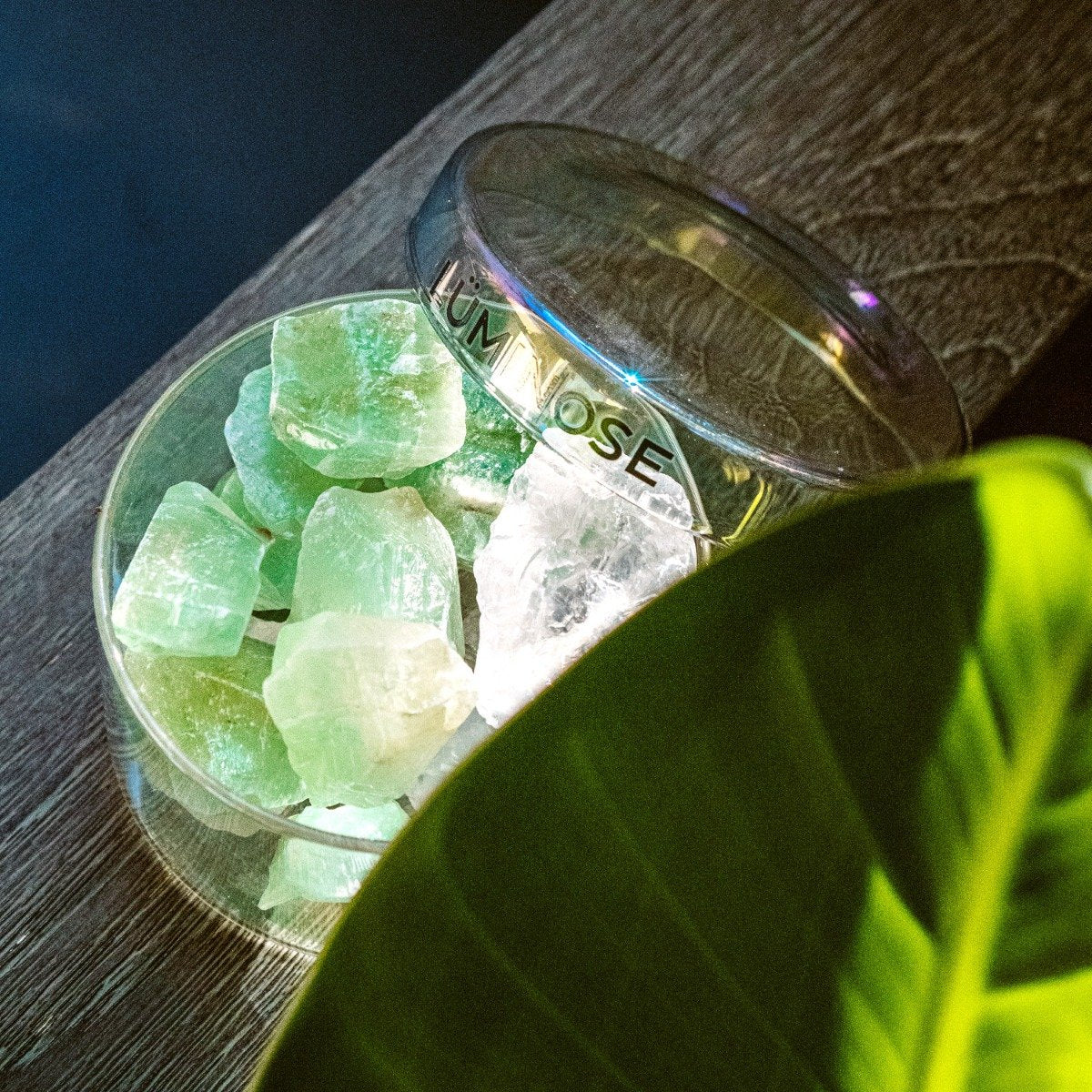 Luminose - Forest Parade Green Calcite & Clear Quartz Diffuser Set