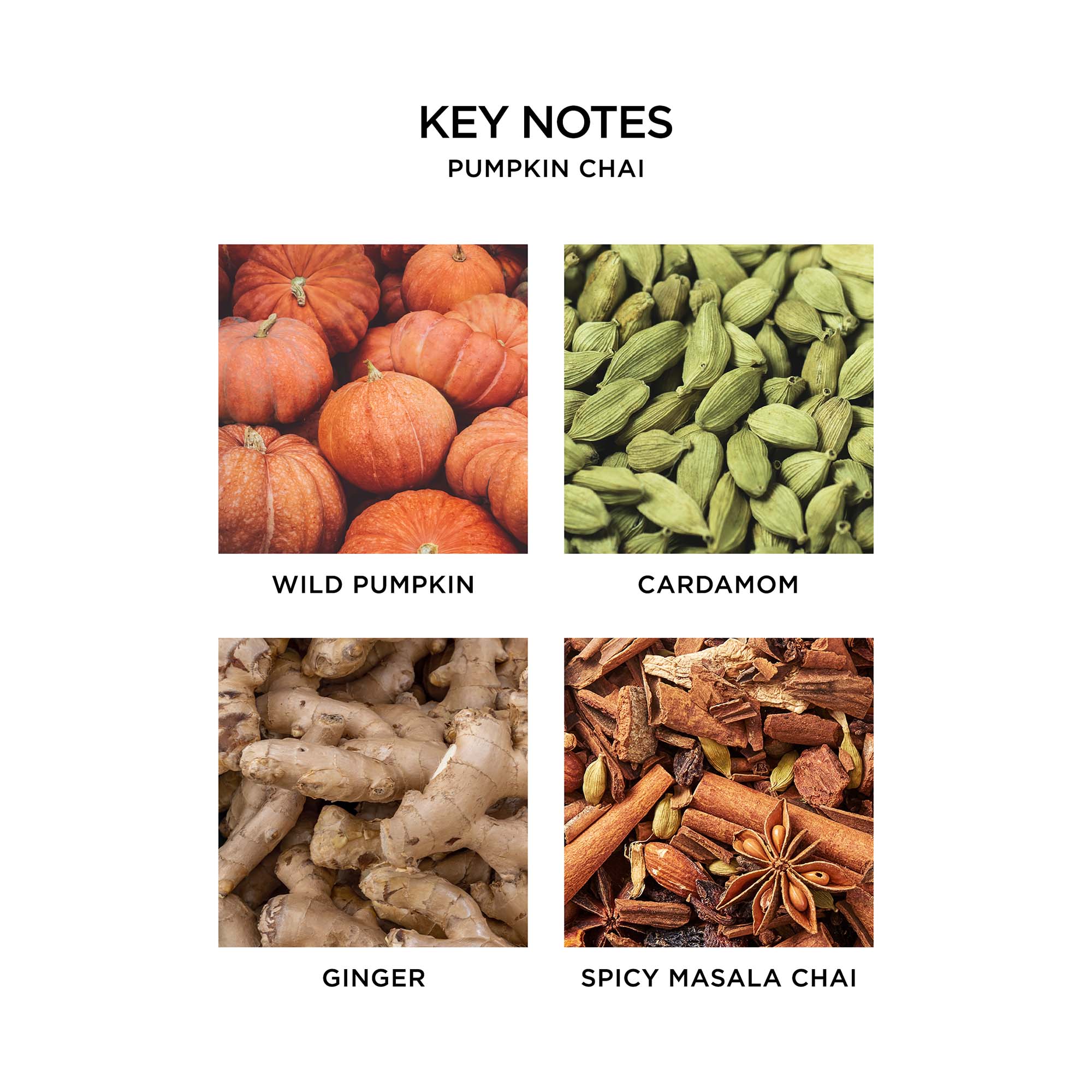 Nest - Pumpkin Chai 3 Wick Candle