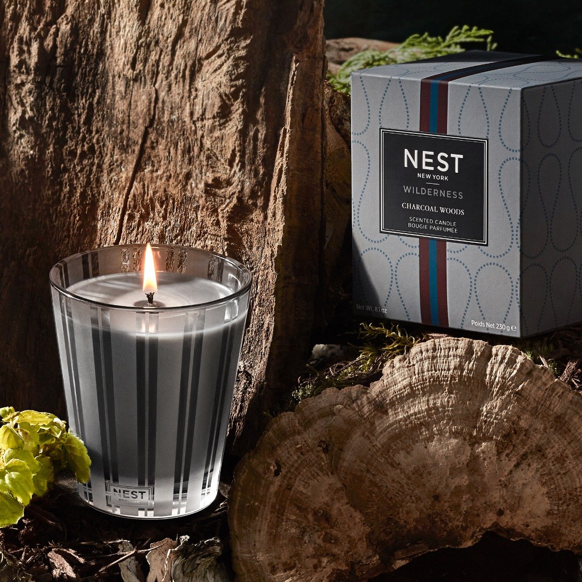 Nest - Charcoal Woods Candle