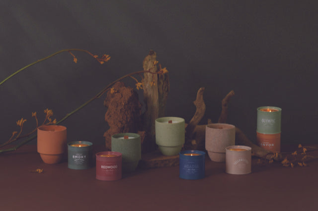 Paddywax - Redwoods Parks Candle