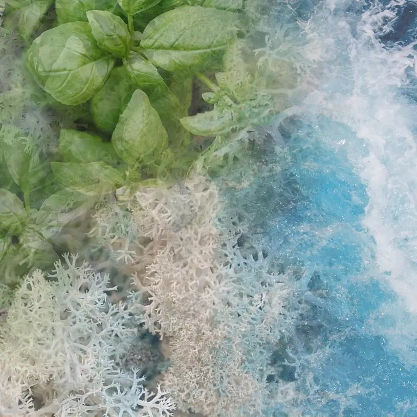 Dr. Vranjes - Acqua Diffuser Refill 500ml