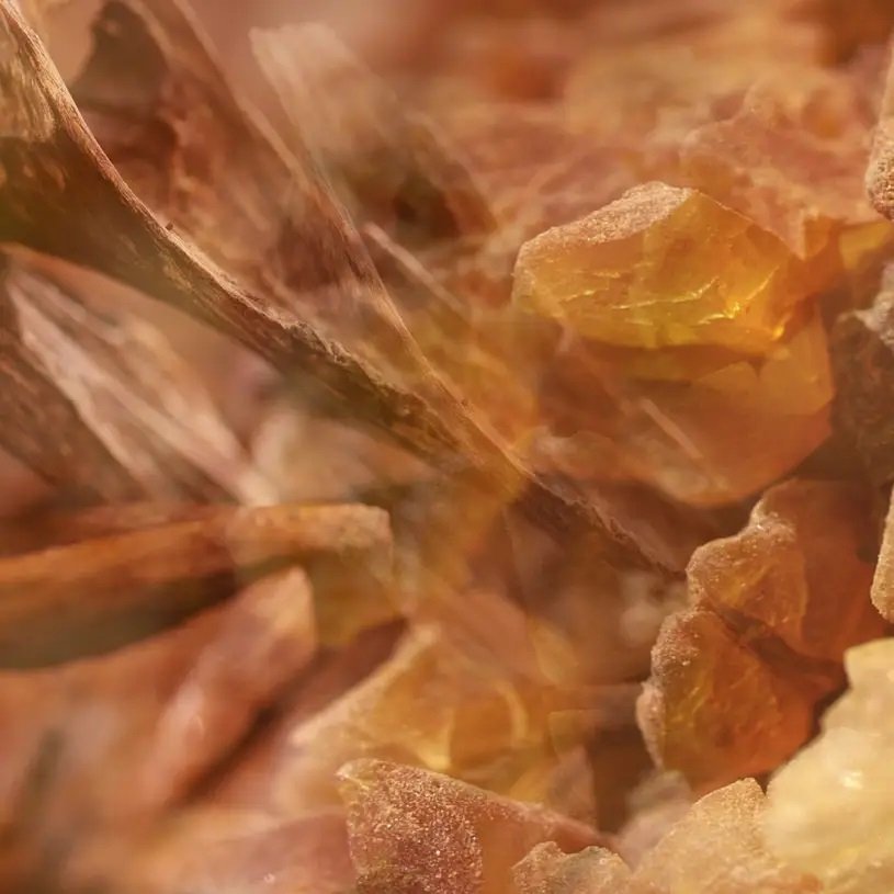 Dr. Vranjes - Ambra Diffuser 500ml