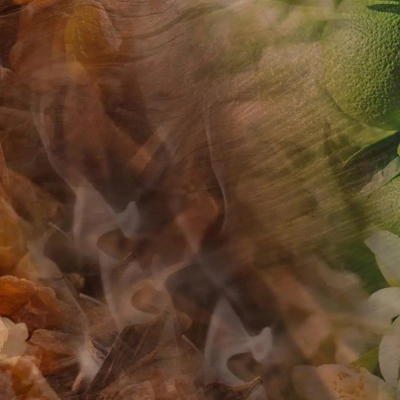 Dr. Vranjes - Oud Nobile Diffuser 2500ml