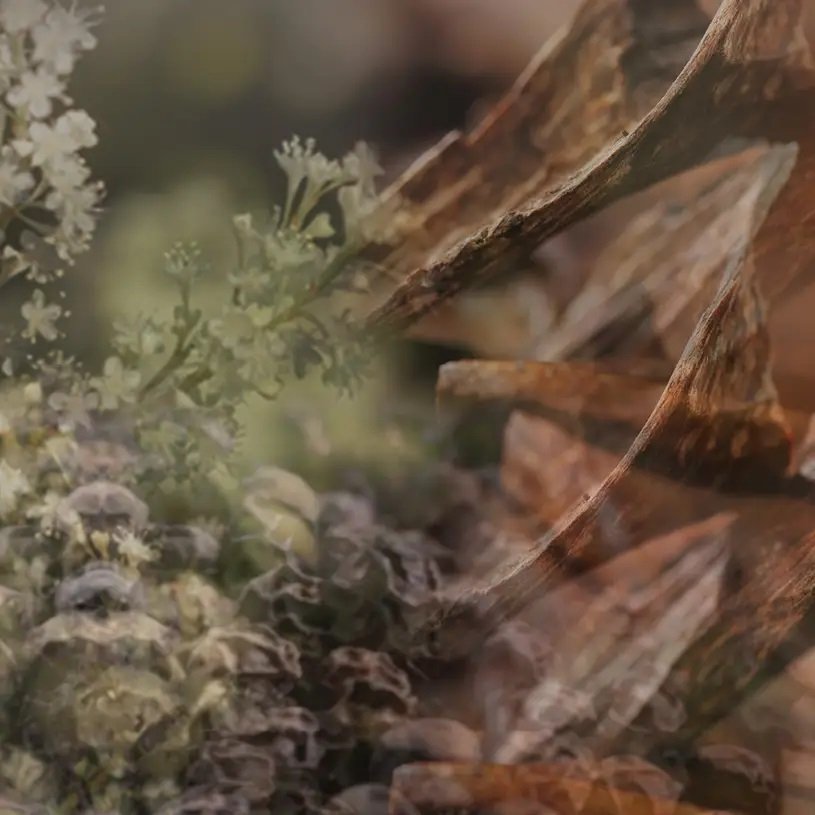 Dr. Vranjes - Milano Room Diffuser 2500ml