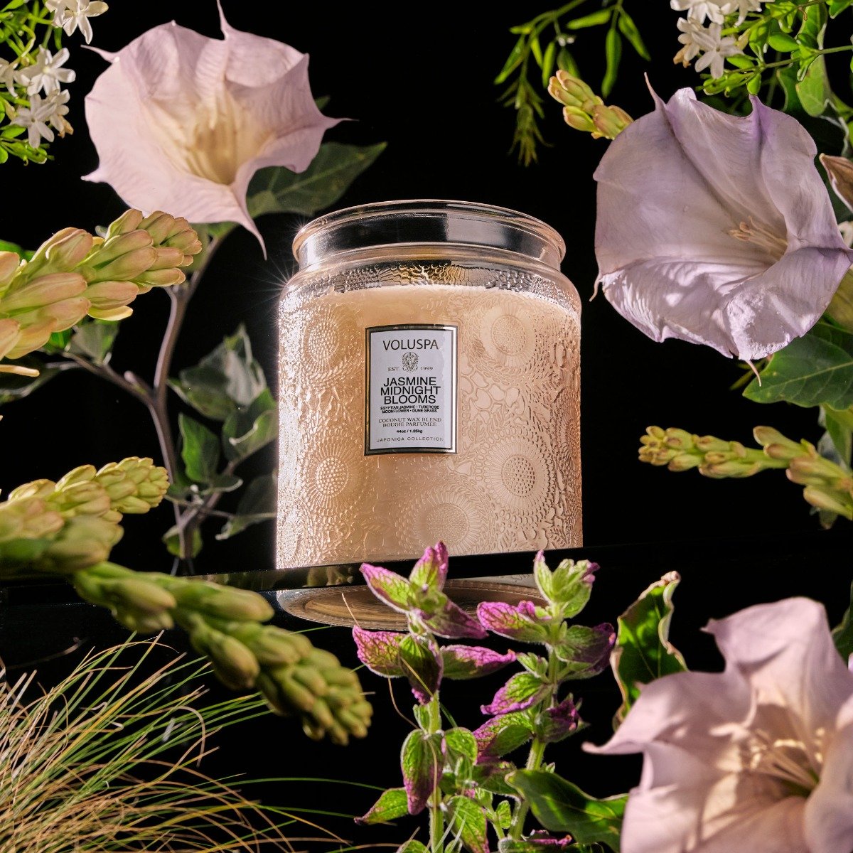 Voluspa - Jasmine Midnight Blooms Luxe Candle