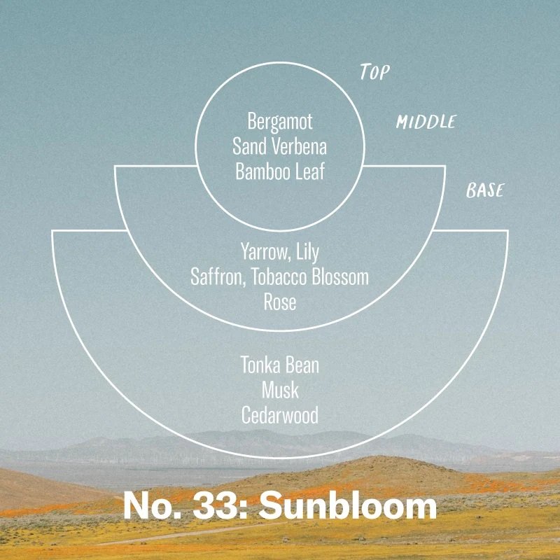 P.F. Candle Co. - Sunbloom Candle