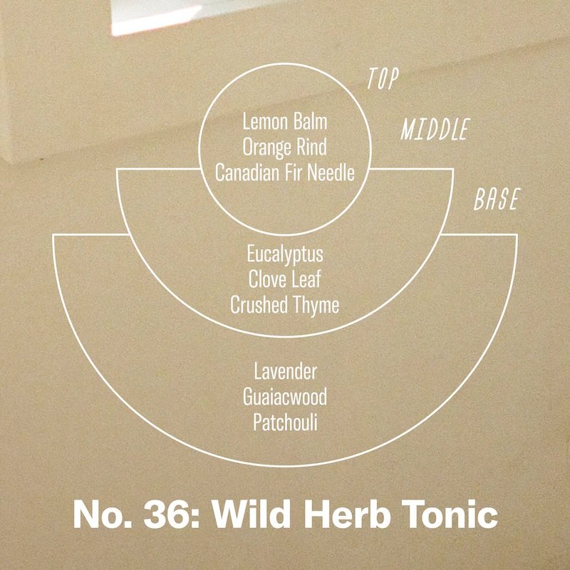 P.F. Candle Co. - Wild Herb Tonic Mini Candle