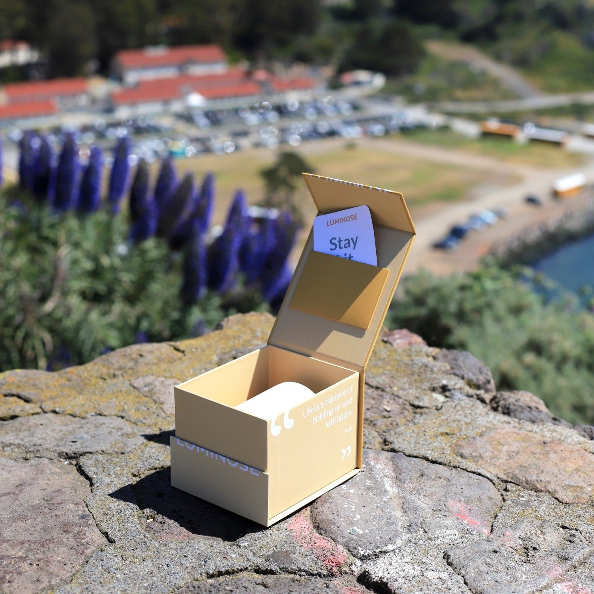 Luminose - Sand Dunes Candle