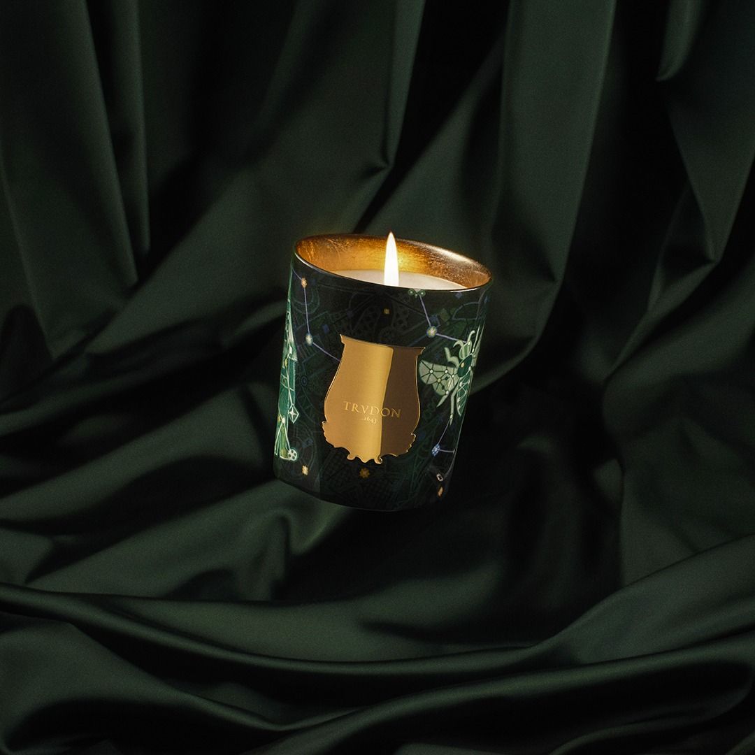 Trudon - Fir Candle (Christmas Tree) Holiday 2025