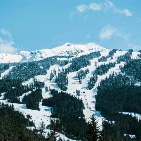 Hollow Tree - Whistler Mountain Candle