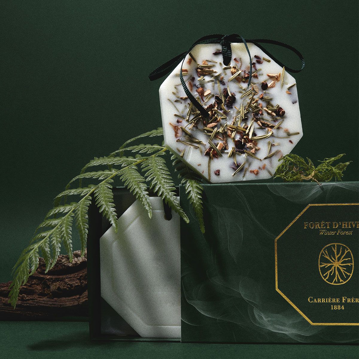 Carriere Freres - Winter Forest Botanical Palet