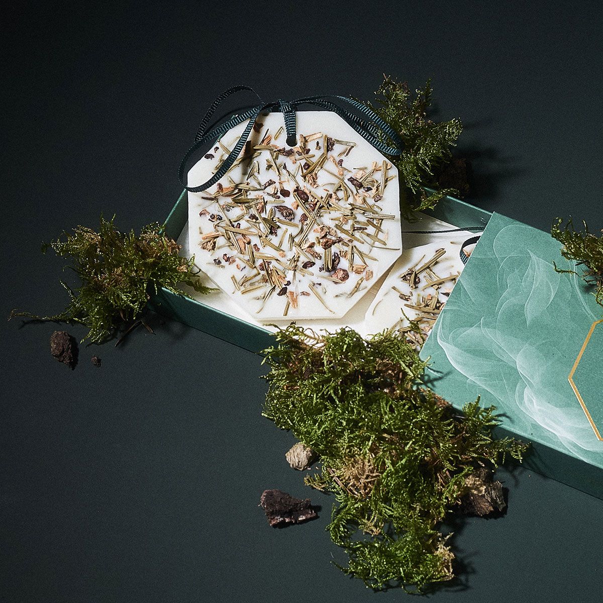 Carriere Freres - Winter Forest Botanical Palet