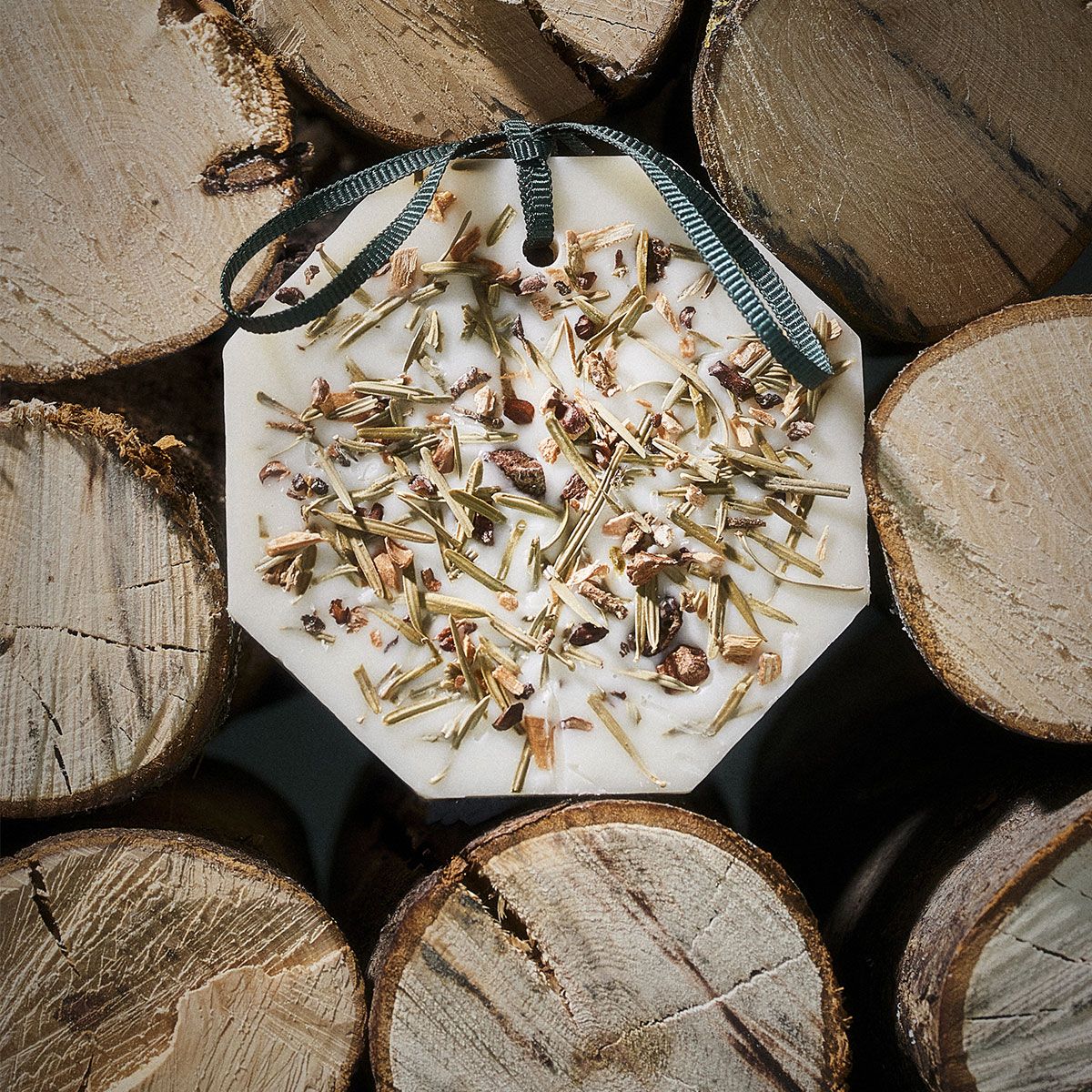 Carriere Freres - Winter Forest Botanical Palet