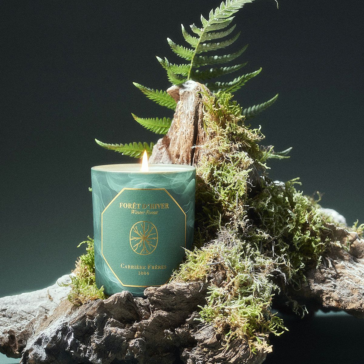 Carriere Freres - Winter Forest Candle