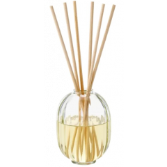 Diptyque - 34 Home Fragrance Diffuser