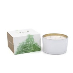  Trapp Vetiver Seagrass #73 3 Wick Candle