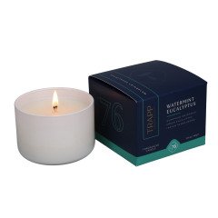 Trapp - Watermint Eucalyptus #76 Small Candle