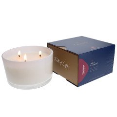 Trapp - Wild Currant #24 3-Wick Candle
