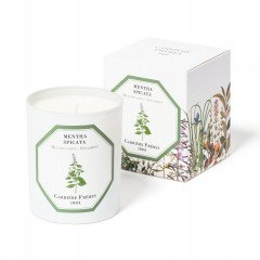 Carriere Freres Spearmint (Mentha Spicata) Candle Box
