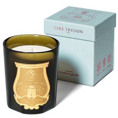 Cire Trudon Carmelite (Old Mossy Walls) Candle