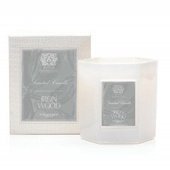 Antica Farmacista Ironwood Candle