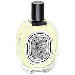 Diptyque Vetyverio Eau de Toilette 100ml