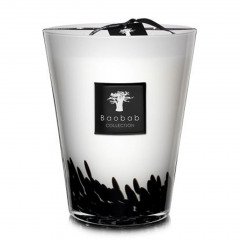 Baobab Feathers Max24 Candle