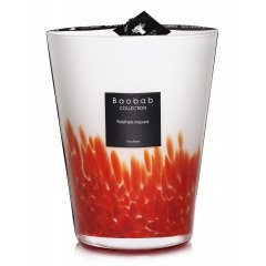 Baobab Feathers Max10 Candle