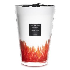 Baobab Feathers Max10 Candle