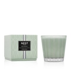 Nest Wild Mint & Eucalyptus 4 Wick Luxury Candle