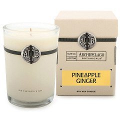 Archipelago Pineapple Ginger Candle