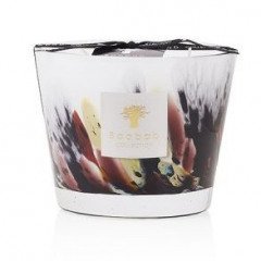 Baobab Collection Rainforest Tanjung Max10 Candle